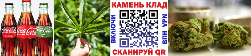 Купить где  Михайловск  Canna-Cookies конопля 