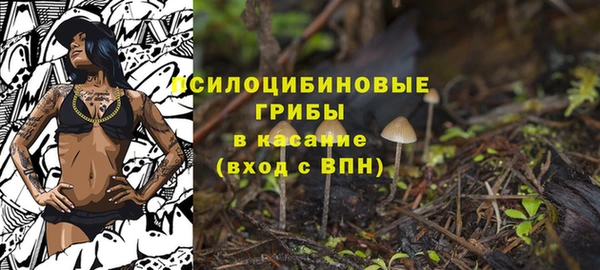 спайс Богородицк