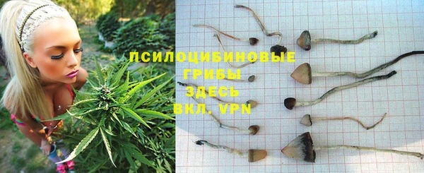 синтетический гашиш Богородск