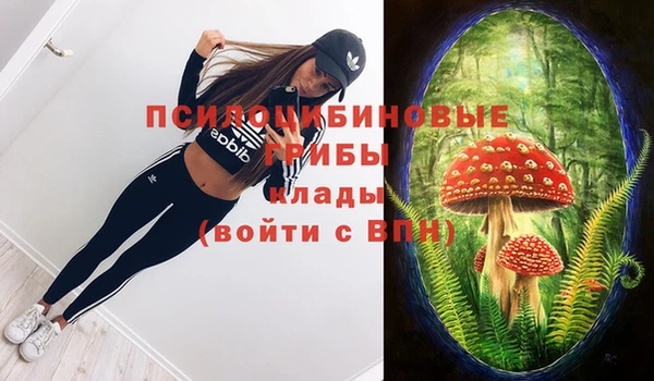 синтетический гашиш Богородск