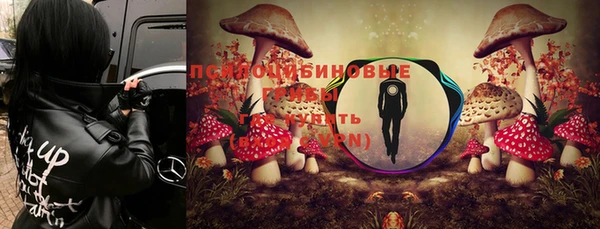 спайс Богородицк