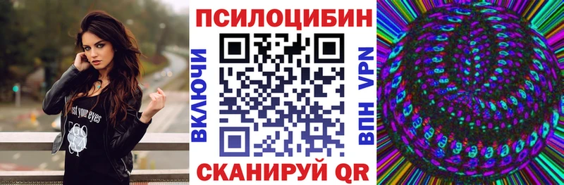 Псилоцибиновые грибы Psilocybe  Купить закладки  Михайловск 